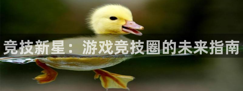 天美娱乐集团：竞技新星：游戏竞技圈的未来指南