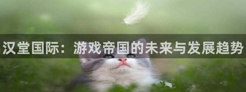 天美娱乐娱乐是真的吗：汉堂国际：游戏帝国的未来与发展趋势