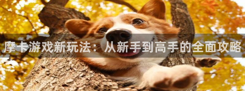 天美娱乐开户测速：摩卡游戏新玩法：从新手到高手的全面攻略