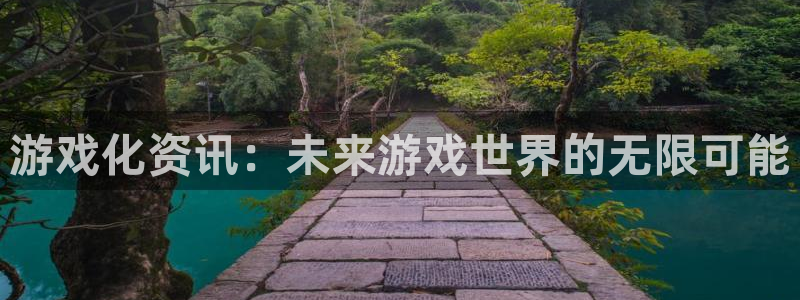 天美娱乐网址官网：游戏化资讯：未来游戏世界的无限可能