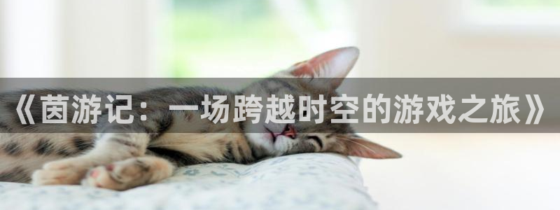 天美娱乐注册平台：《茵游记：一场跨越时空的游戏之旅》
