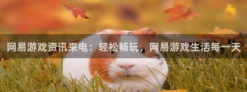 天美娱乐平台官网入口：网易游戏资讯来电：轻松畅玩，网易游戏生